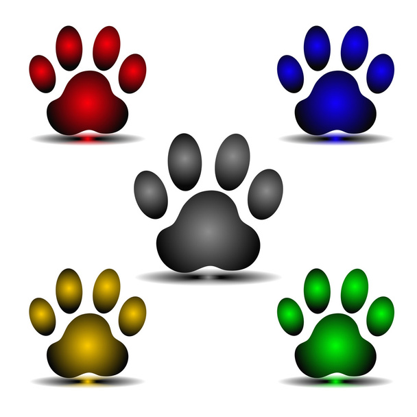 vector voor paw print - Vector, afbeelding