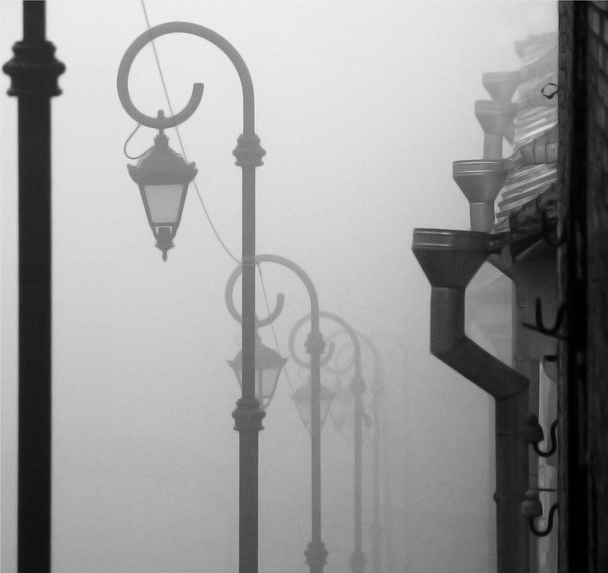 Nebel - Foto, Bild