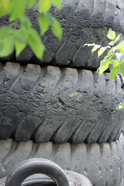 dumping of tires on the wheels in the open air. environmental problem. - Photo, Image