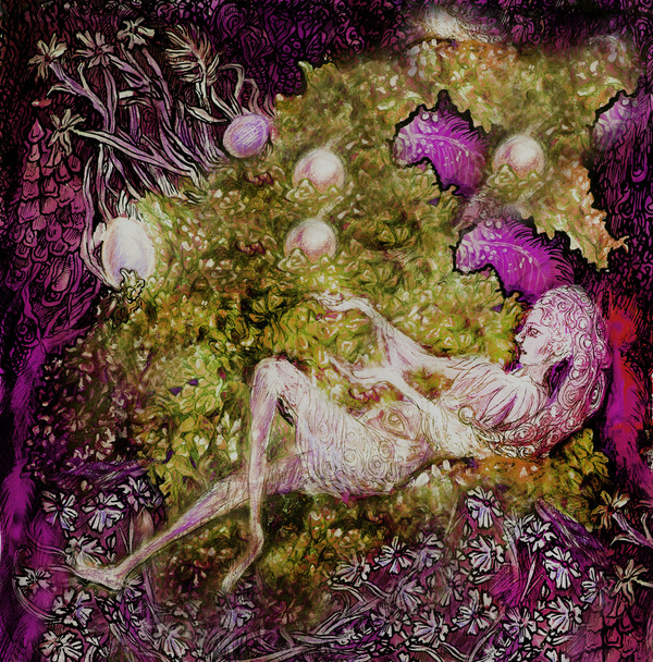 witte fairy liggend op bloem, kleurrijke illustraties - Foto, afbeelding