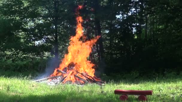 Large bonfire with orange flames - Footage, Video