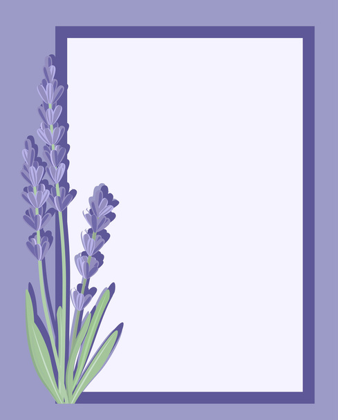 Branch of flowers of lavender. - Vector, Image