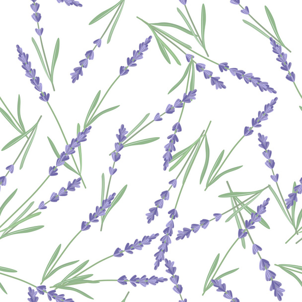 Seamless pattern with lavender flowers. - Vettoriali, immagini