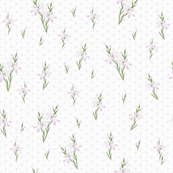 Naadloze patroon met bloemen Matthiola of evening primrose. - Vector, afbeelding