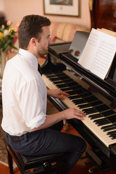 Retrato del intérprete de música tocando su piano
 - Foto, imagen