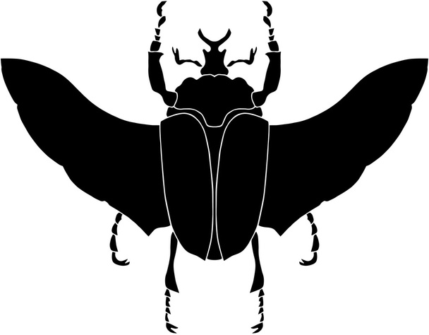 Exotic beetle silhouette - Вектор, зображення
