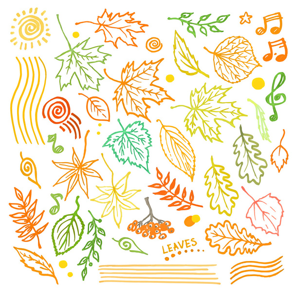 Барвиста квіткова колекція з листям та декоративними елементами, осіннє листя рука намальована Векторні ілюстрації
 - Вектор, зображення