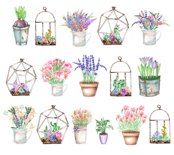 Un conjunto de ilustraciones con ramos de acuarela de flores silvestres en un frasco rústico y macetas y florarios con suculentas y cactus
 - Foto, Imagen