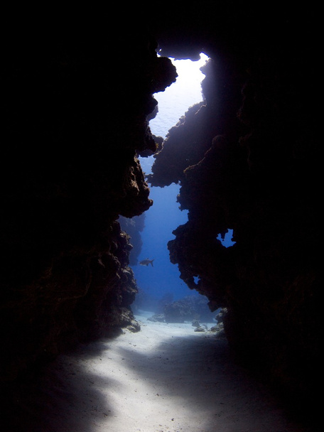 水中洞窟 - 写真・画像