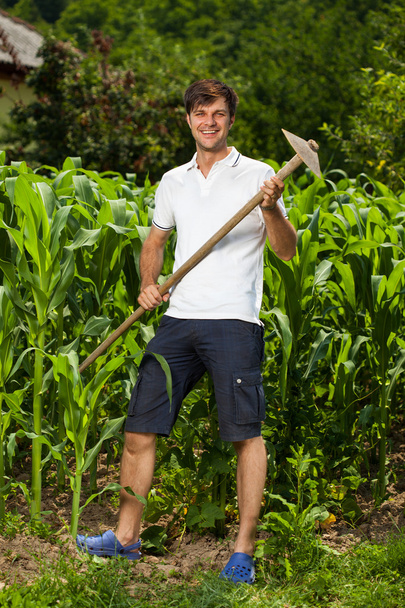 Young farmer near a corn field - Foto, Imagen