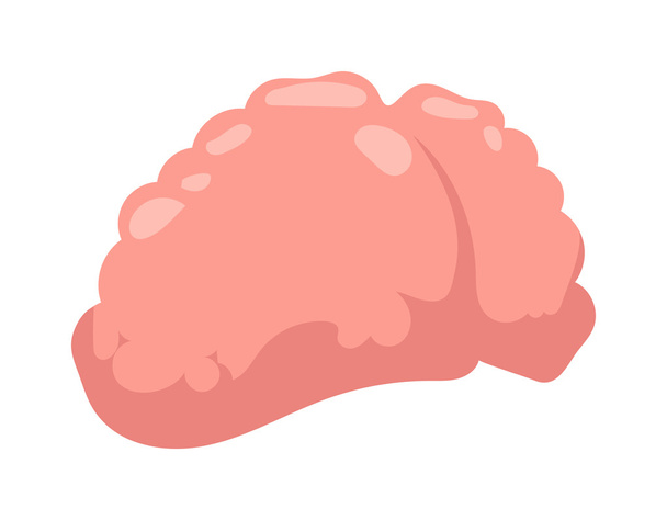 людський мозок Векторні ілюстрації
. - Вектор, зображення