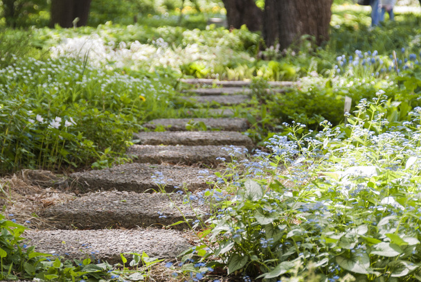 stone path in a Park overgrown with flowers - Photo, image