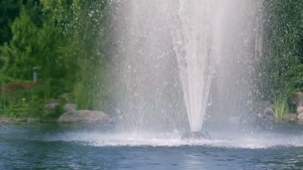 Giardino delle fontane. Fontana d'acqua in giardino. Spruzzi di corsi d'acqua della fontana
 - Filmati, video
