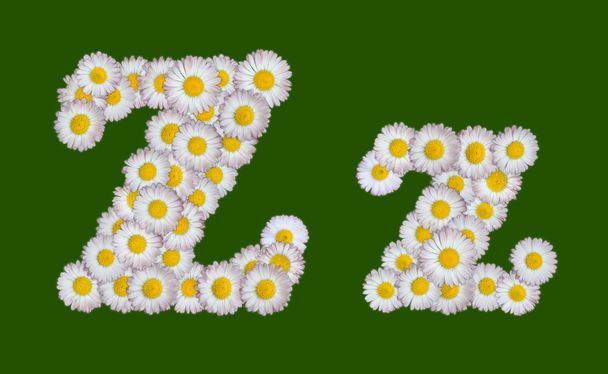 Alphabetischer Buchstabe aus Blumen - Foto, Bild