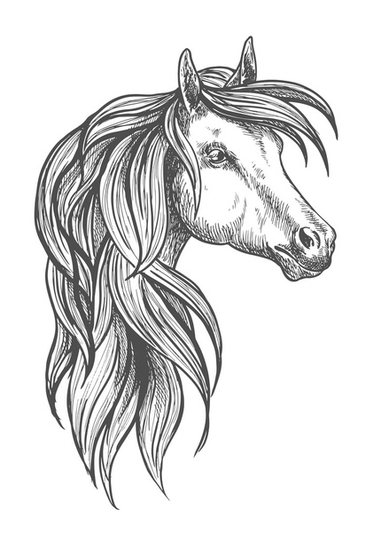 Ratsuväki Morgan hevonen luonnos symboli
 - Vektori, kuva