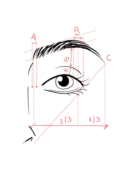 Die Augenbrauen formen - Vektor, Bild