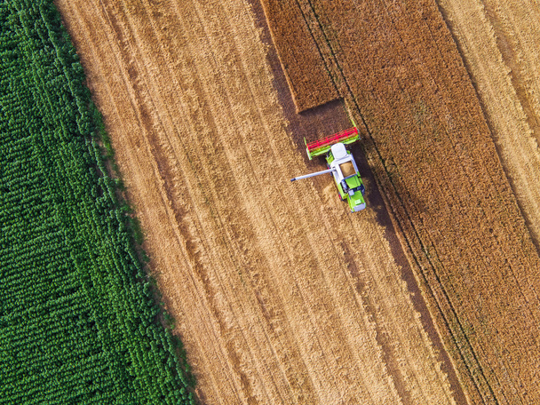 Воздушный обзор комбайна на поле для сбора урожая
 - Фото, изображение