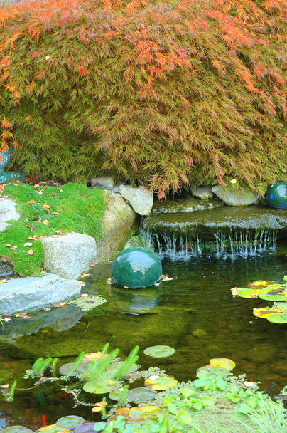 Jardin japonais de l'eau
. - Photo, image