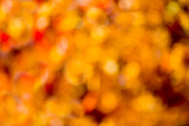 Autumn bokeh. Autumn bright bokeh background. Natural beauty background. - Fotó, kép