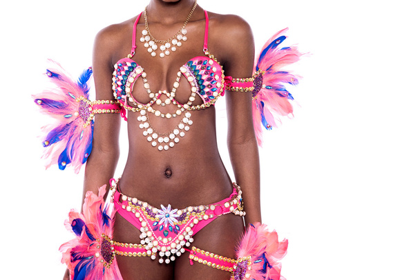 female samba dancer in carnival costume - Foto, Imagem