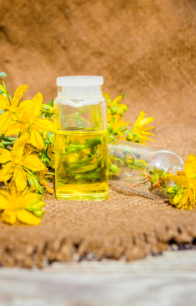 un remedio flor de hierba de San Juan en una botella de vidrio primer plano horizontal
 - Foto, Imagen
