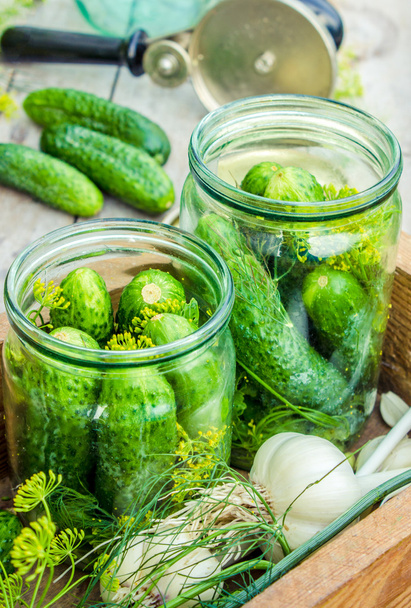 Fresh pickling cucumbers.Preparing to pickle fresh cucumbers with dill, garlic and spices
 - Фото, изображение