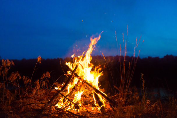 Ormanda geceleri büyük kamp ateşi  - Fotoğraf, Görsel