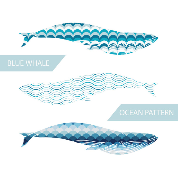 Modré velryby naplněné oceánu vzor na bílém pozadí. - Vektor, obrázek