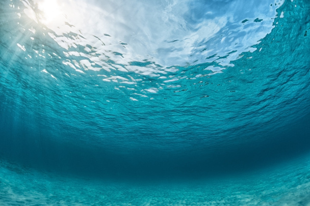 Deniz alt açık mavi su ile - Fotoğraf, Görsel