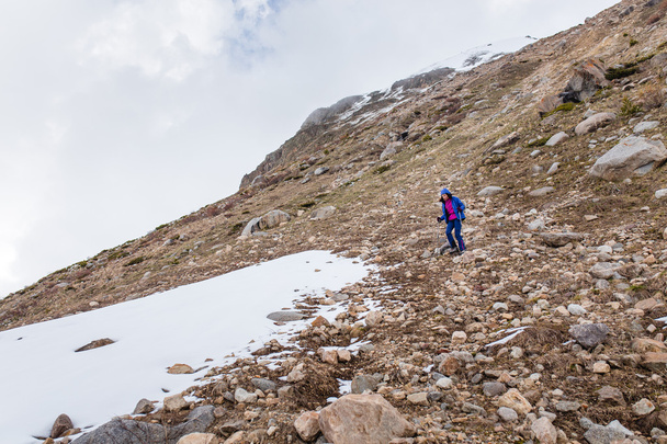 Woman hiker trekking in Caucasus mountain trail, walking with trekking poles - 写真・画像