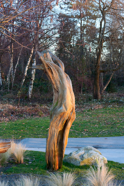 Old dry logs. - Fotoğraf, Görsel