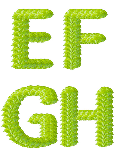 Green leaf E F G H alphabet character. - Foto, imagen