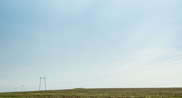 Green field ans sky - Фото, изображение