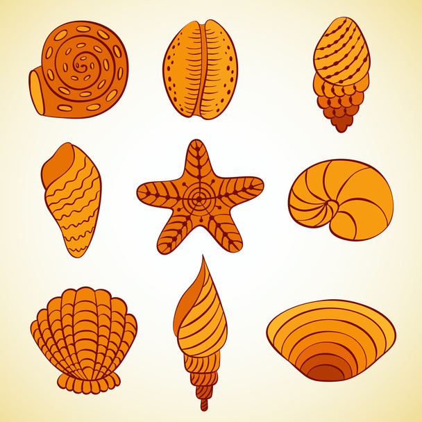 Nautilus shells. Vector. - Vector, afbeelding
