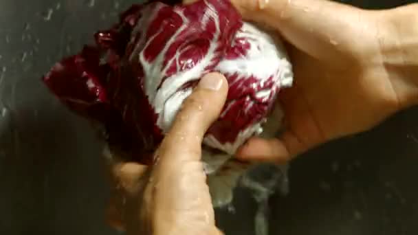 Mans hands wash radicchio. - Footage, Video