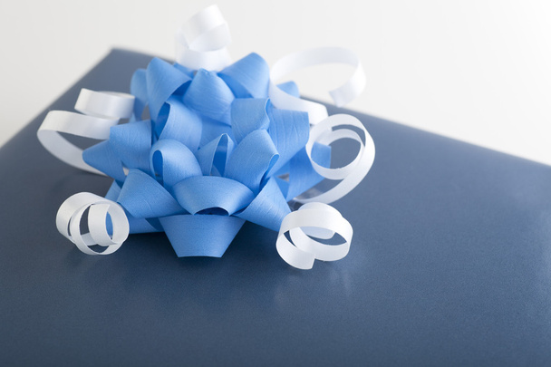 Blue Bow with White - Photo, Image