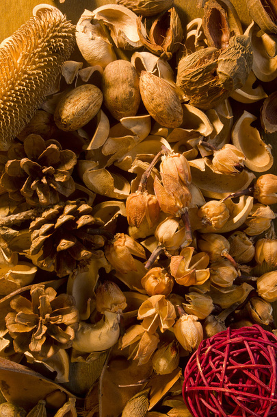 Aromatherapy potpourri dried plants and flowers nuts - Photo, image