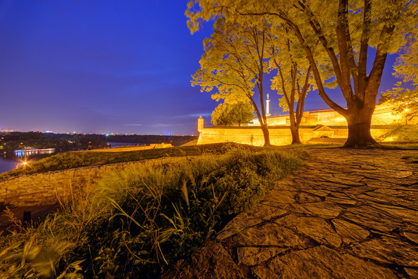 Belgrade medieval walls of fortress and park at night, Serbia - Photo, Image