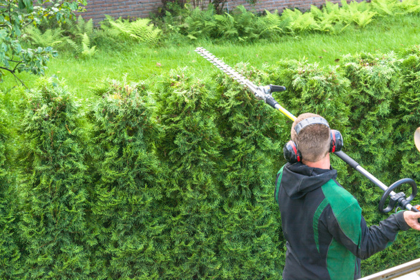 Hedge cutting petrol hedge trimmer.      - Photo, Image