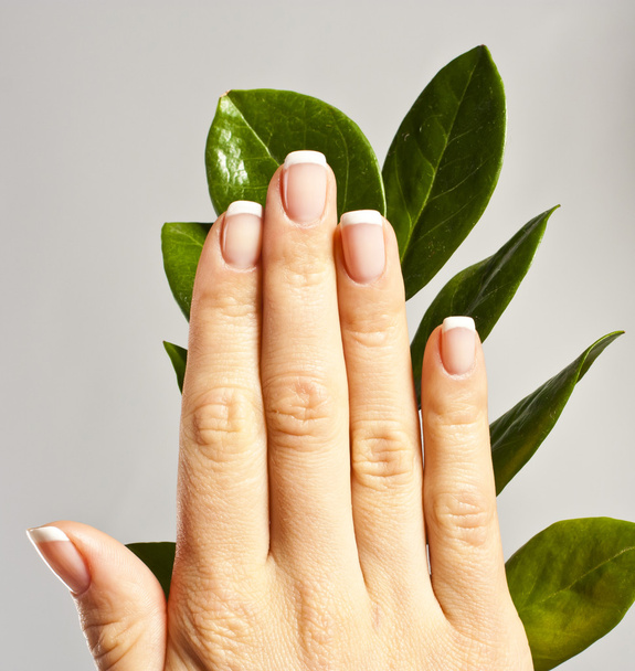 Beautiful hands with French manicure nails - Φωτογραφία, εικόνα