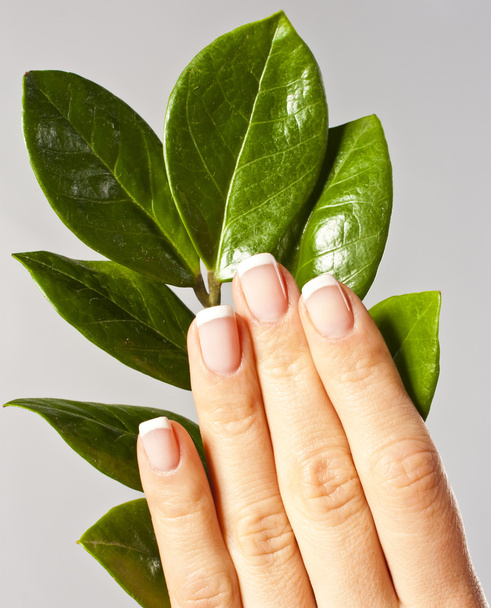 Beautiful hands with French manicure nails - Zdjęcie, obraz