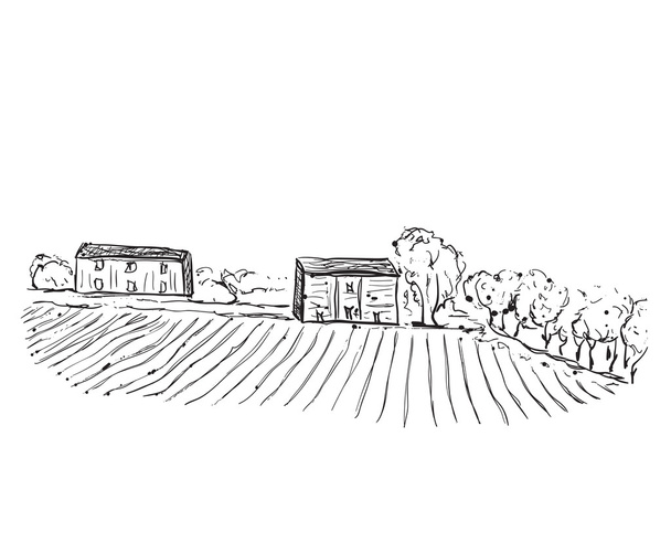 Landscape with Fields and Houses. - Vector, Image