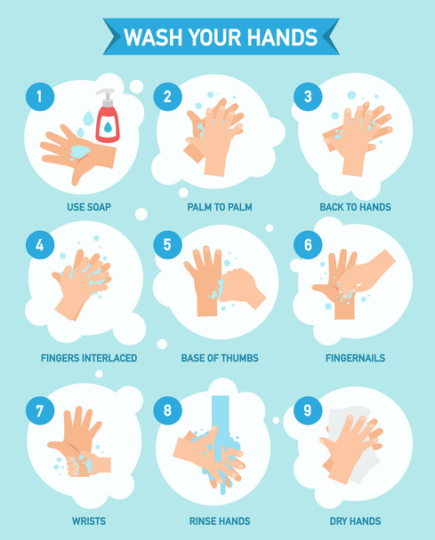 Lavarsi le mani correttamente infografica, vettore
 - Vettoriali, immagini