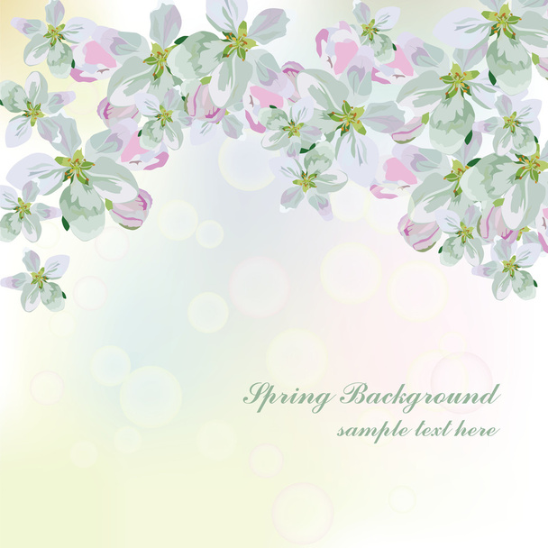 Vector Spring Floral background. - Вектор, зображення