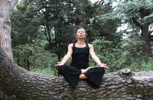 Meditation In Forest - Foto, afbeelding