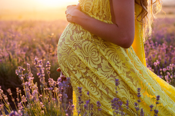 Belly of pregnant woman in a lavender field - Valokuva, kuva