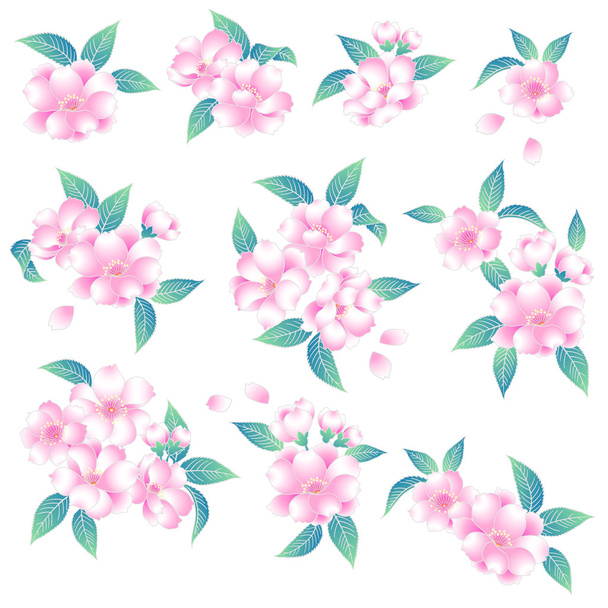 Japanese style cherry blossom - Wektor, obraz
