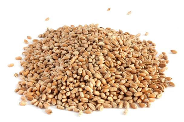 Wheat grain 2 - Photo, Image