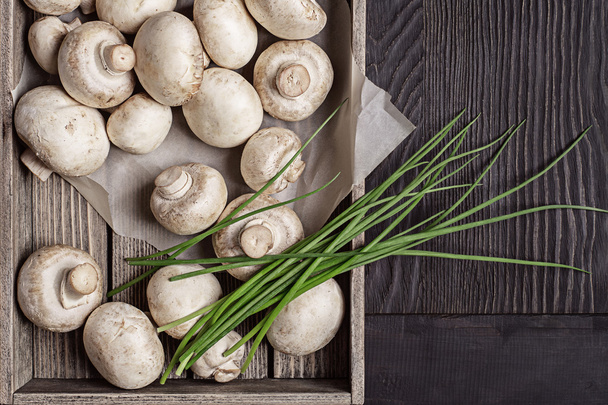 Mushrooms, onions and chives in a studio. - Foto, Bild