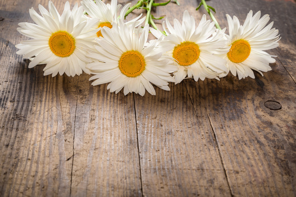 chamomile flowers on wooden background - Foto, Imagen